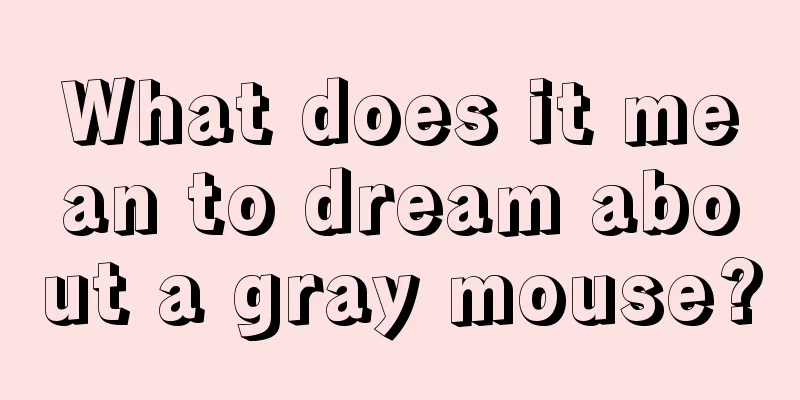 What does it mean to dream about a gray mouse?