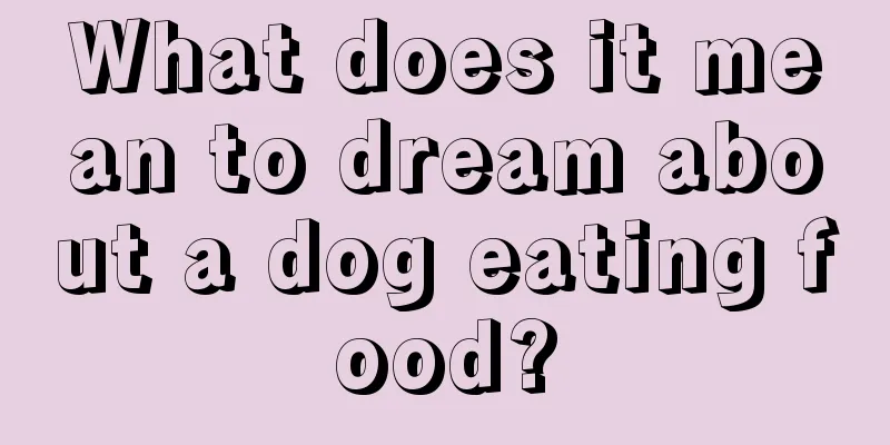 What does it mean to dream about a dog eating food?