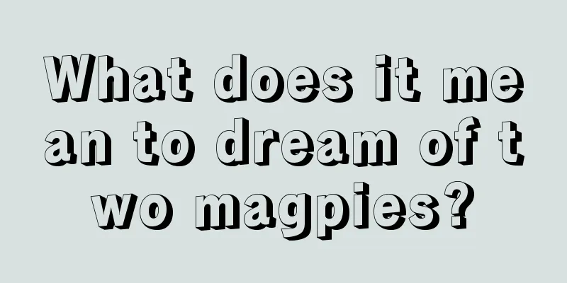 What does it mean to dream of two magpies?