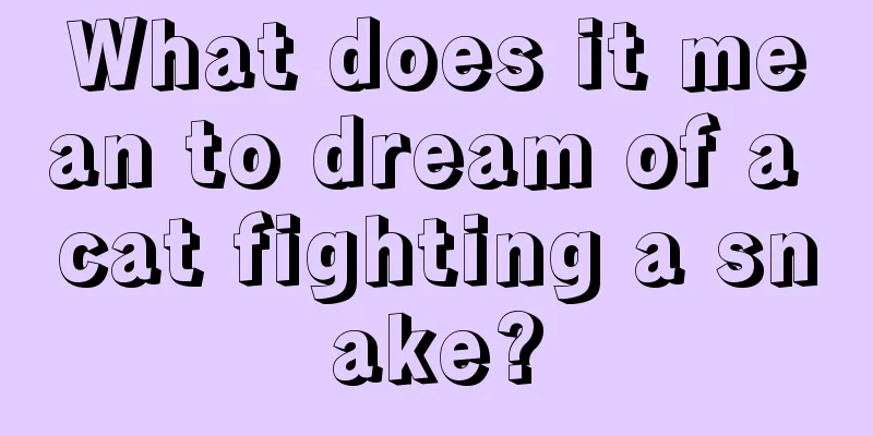 What does it mean to dream of a cat fighting a snake?