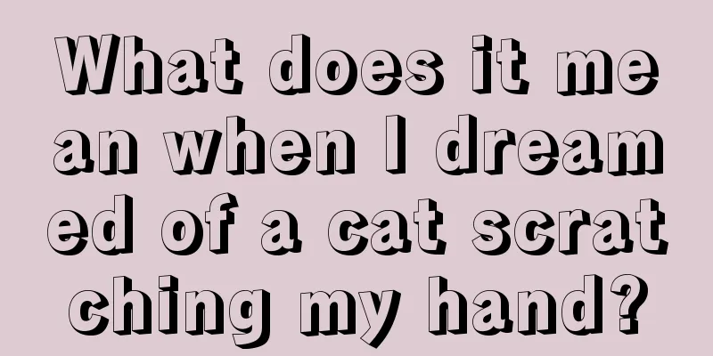 What does it mean when I dreamed of a cat scratching my hand?