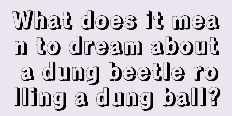 What does it mean to dream about a dung beetle rolling a dung ball?