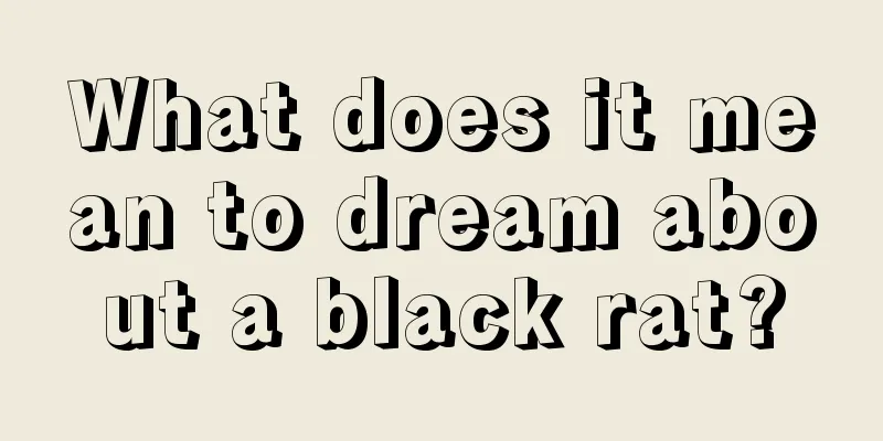 What does it mean to dream about a black rat?