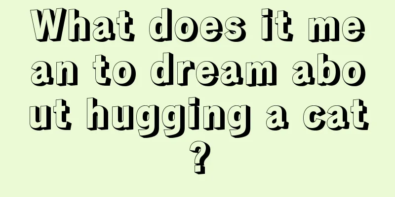 What does it mean to dream about hugging a cat?