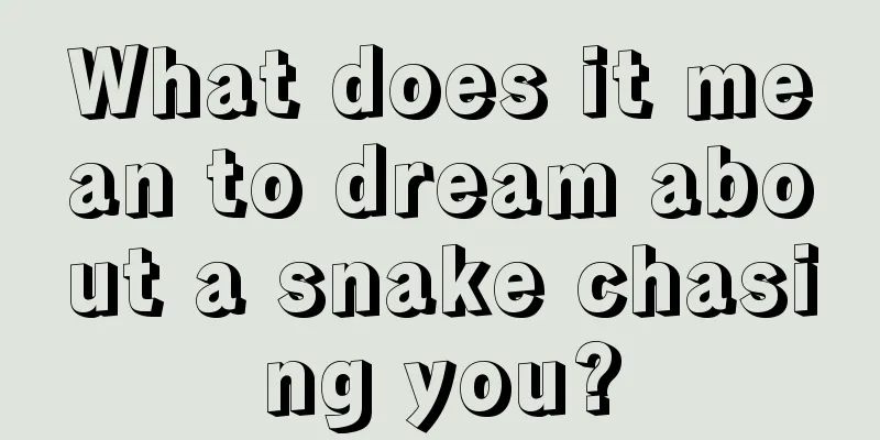 What does it mean to dream about a snake chasing you?