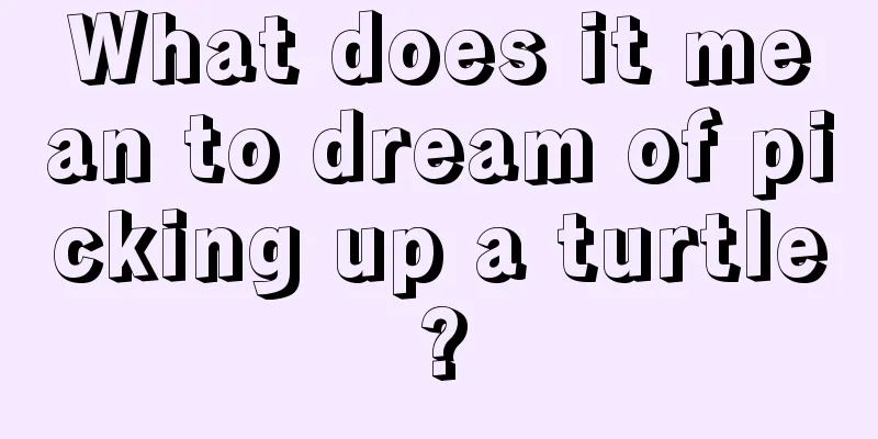 What does it mean to dream of picking up a turtle?