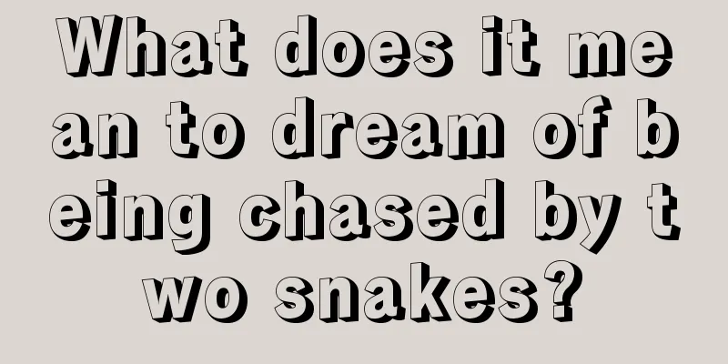 What does it mean to dream of being chased by two snakes?