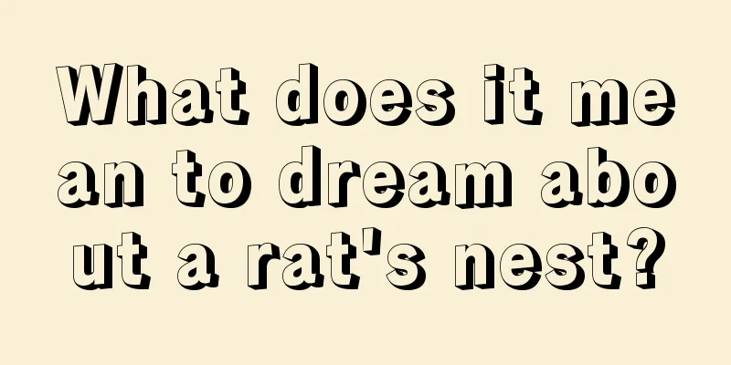 What does it mean to dream about a rat's nest?