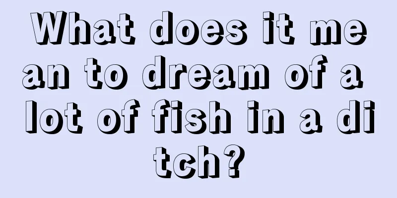 What does it mean to dream of a lot of fish in a ditch?