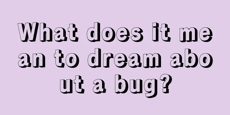 What does it mean to dream about a bug?