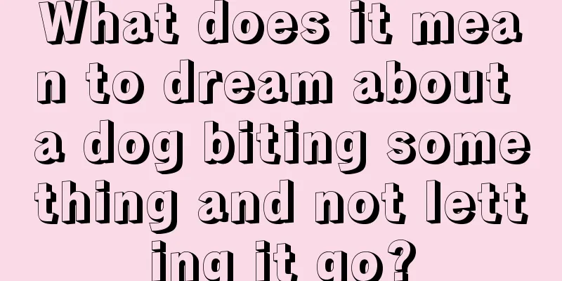 What does it mean to dream about a dog biting something and not letting it go?