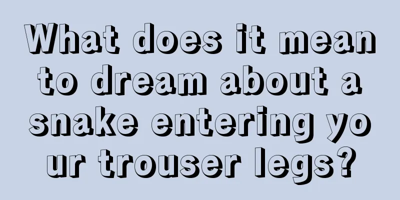 What does it mean to dream about a snake entering your trouser legs?