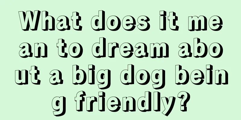 What does it mean to dream about a big dog being friendly?