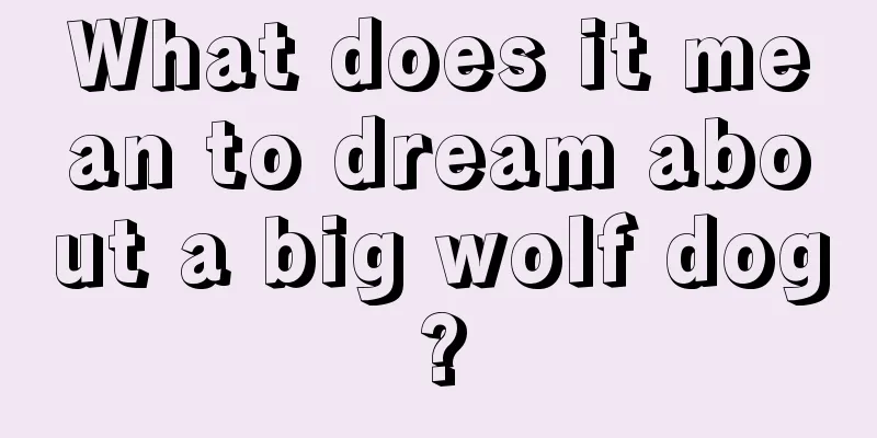 What does it mean to dream about a big wolf dog?