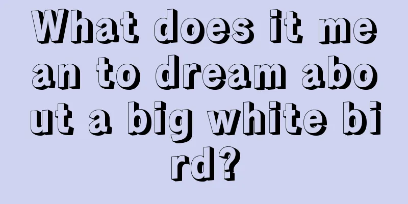 What does it mean to dream about a big white bird?