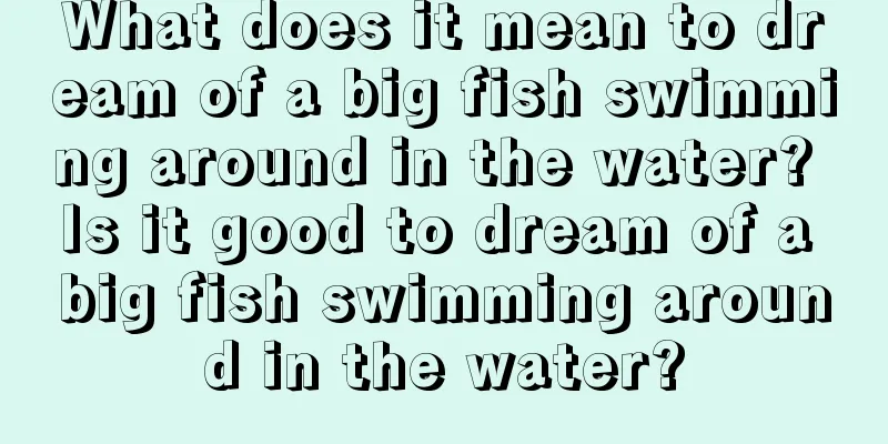 What does it mean to dream of a big fish swimming around in the water? Is it good to dream of a big fish swimming around in the water?