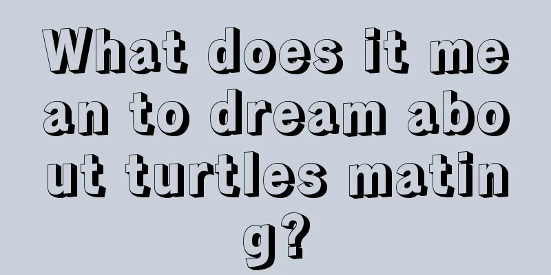 What does it mean to dream about turtles mating?