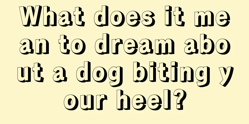 What does it mean to dream about a dog biting your heel?