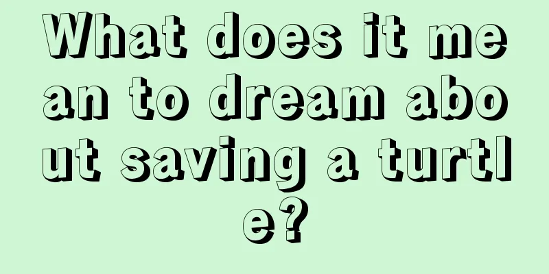 What does it mean to dream about saving a turtle?