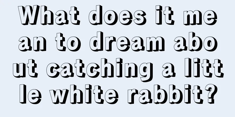 What does it mean to dream about catching a little white rabbit?