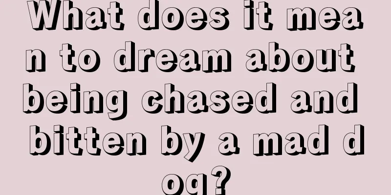 What does it mean to dream about being chased and bitten by a mad dog?