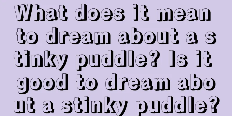 What does it mean to dream about a stinky puddle? Is it good to dream about a stinky puddle?