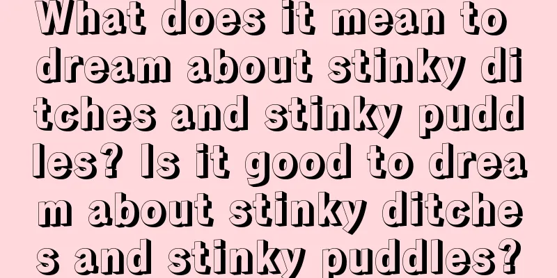 What does it mean to dream about stinky ditches and stinky puddles? Is it good to dream about stinky ditches and stinky puddles?