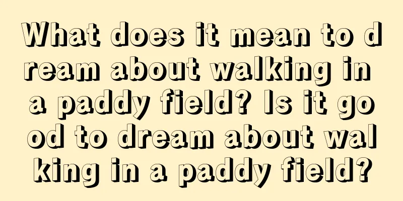 What does it mean to dream about walking in a paddy field? Is it good to dream about walking in a paddy field?