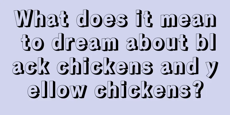 What does it mean to dream about black chickens and yellow chickens?