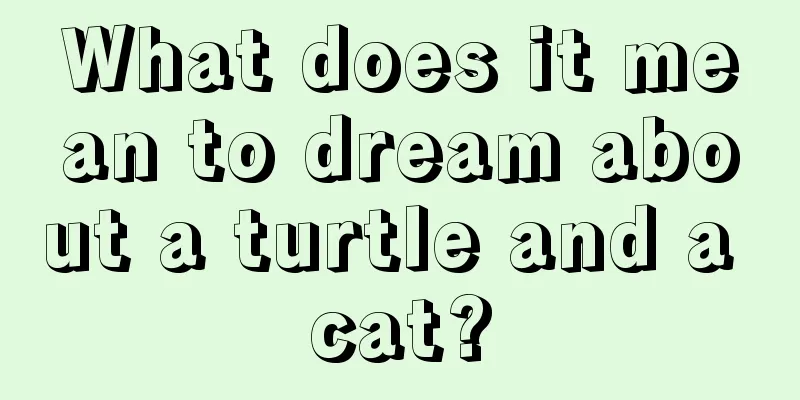 What does it mean to dream about a turtle and a cat?