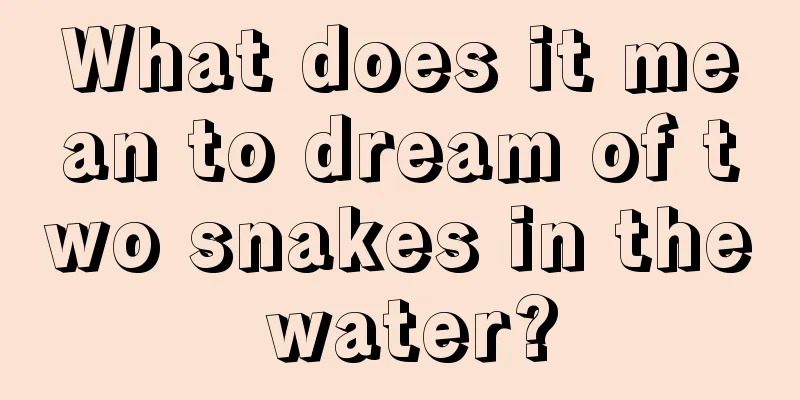 What does it mean to dream of two snakes in the water?