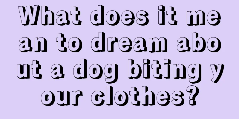 What does it mean to dream about a dog biting your clothes?