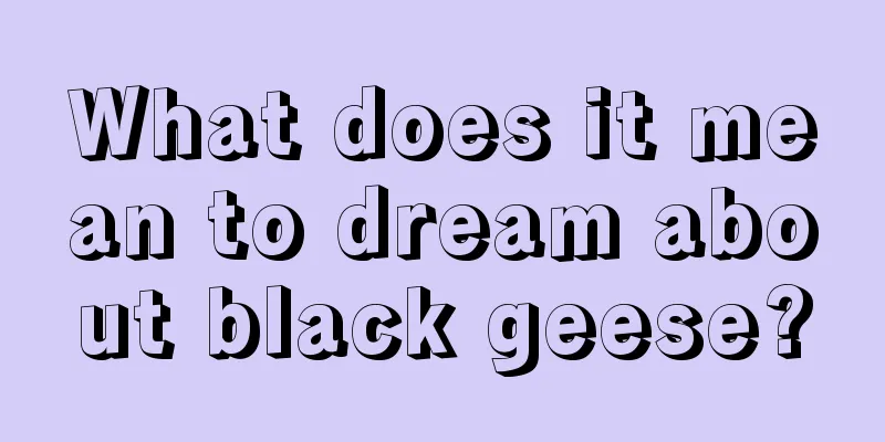 What does it mean to dream about black geese?