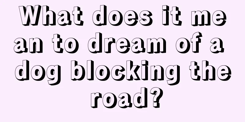 What does it mean to dream of a dog blocking the road?