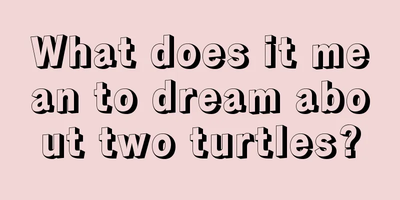 What does it mean to dream about two turtles?