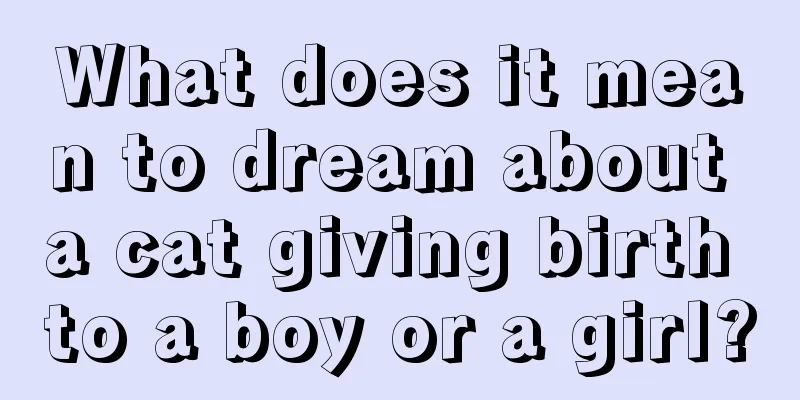 What does it mean to dream about a cat giving birth to a boy or a girl?