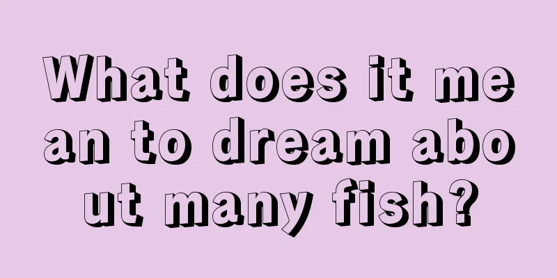 What does it mean to dream about many fish?