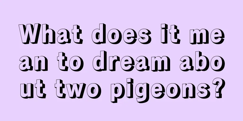 What does it mean to dream about two pigeons?