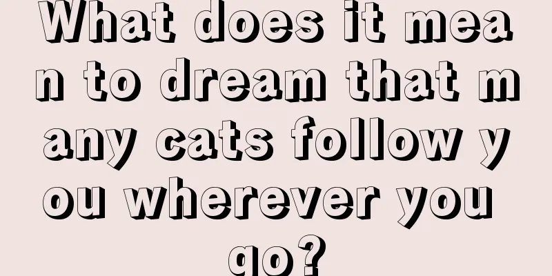 What does it mean to dream that many cats follow you wherever you go?