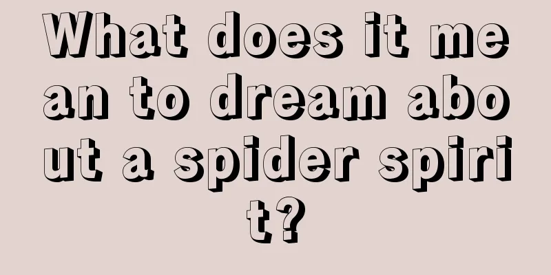 What does it mean to dream about a spider spirit?