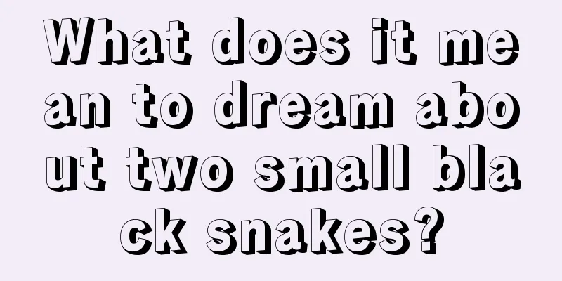 What does it mean to dream about two small black snakes?