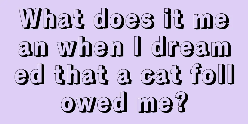 What does it mean when I dreamed that a cat followed me?