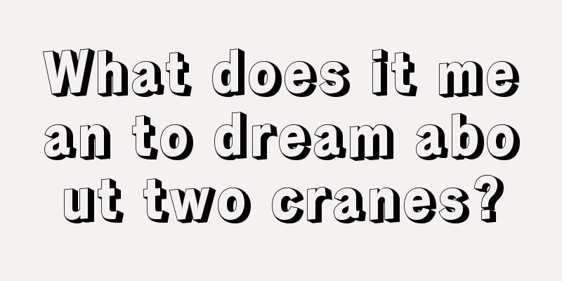 What does it mean to dream about two cranes?