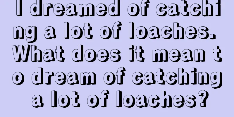 I dreamed of catching a lot of loaches. What does it mean to dream of catching a lot of loaches?