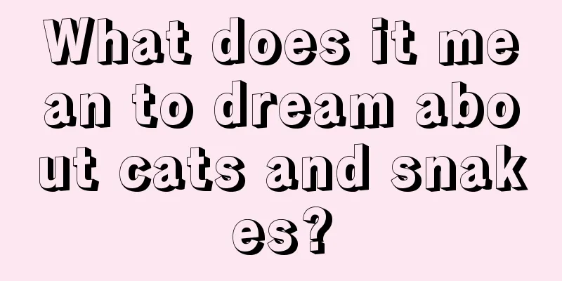 What does it mean to dream about cats and snakes?