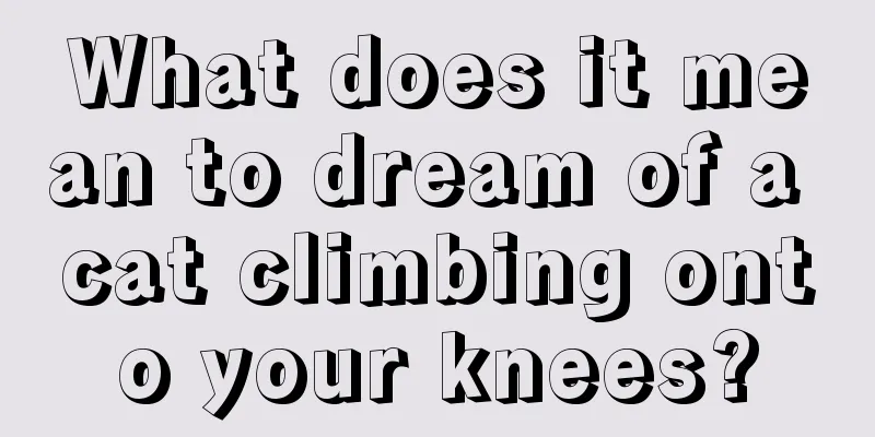 What does it mean to dream of a cat climbing onto your knees?