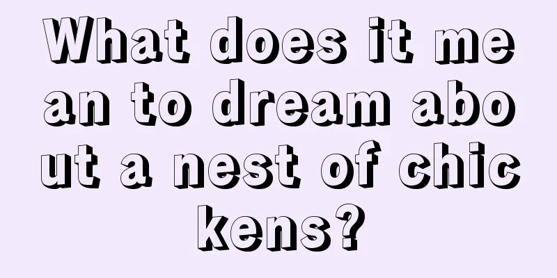 What does it mean to dream about a nest of chickens?