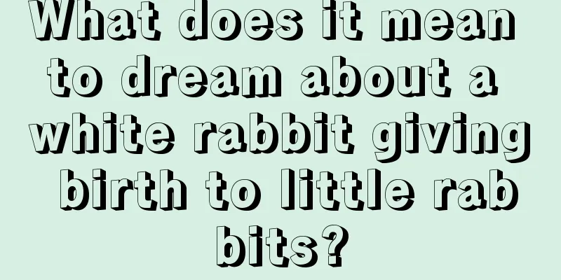 What does it mean to dream about a white rabbit giving birth to little rabbits?