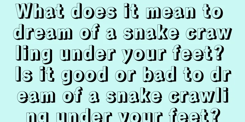 What does it mean to dream of a snake crawling under your feet? Is it good or bad to dream of a snake crawling under your feet?