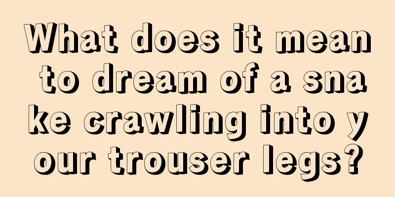 What does it mean to dream of a snake crawling into your trouser legs?